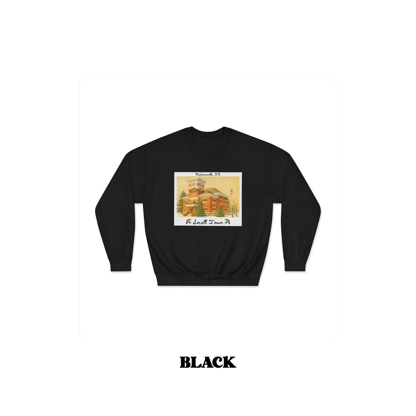 Monroe County Small Town Christmas Tee